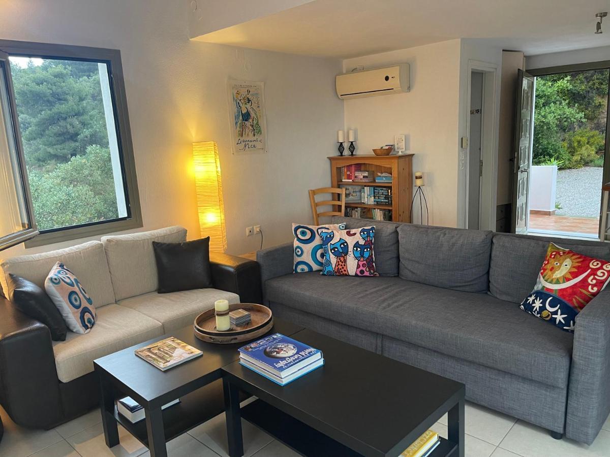 Punta Skiathos Seaview Villa With Pool מראה חיצוני תמונה