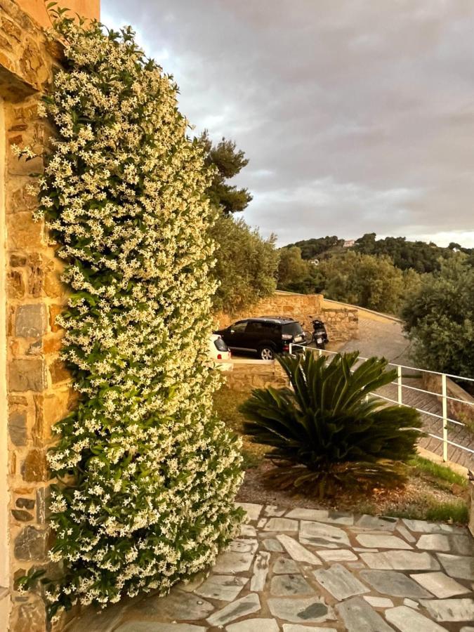 Punta Skiathos Seaview Villa With Pool מראה חיצוני תמונה